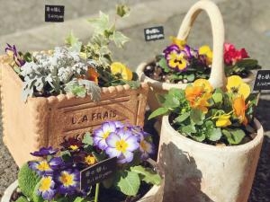 新商品も続々と◎｜「いろは花店」　（滋賀県守山市の花キューピット加盟店 花屋）のブログ
