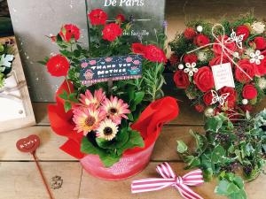 今年の母の日は５月１３日＊｜「いろは花店」　（滋賀県守山市の花キューピット加盟店 花屋）のブログ