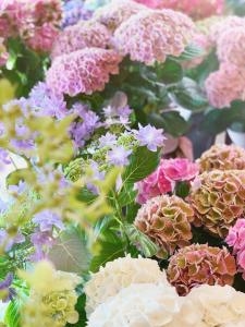 紫陽花＊｜「いろは花店」　（滋賀県守山市の花キューピット加盟店 花屋）のブログ